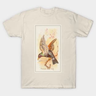 Persian Starling T-Shirt